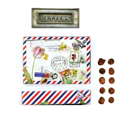 Blomsterløg som mailing - Bild 3